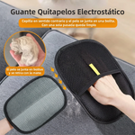 Pelo atrapado en cerdas